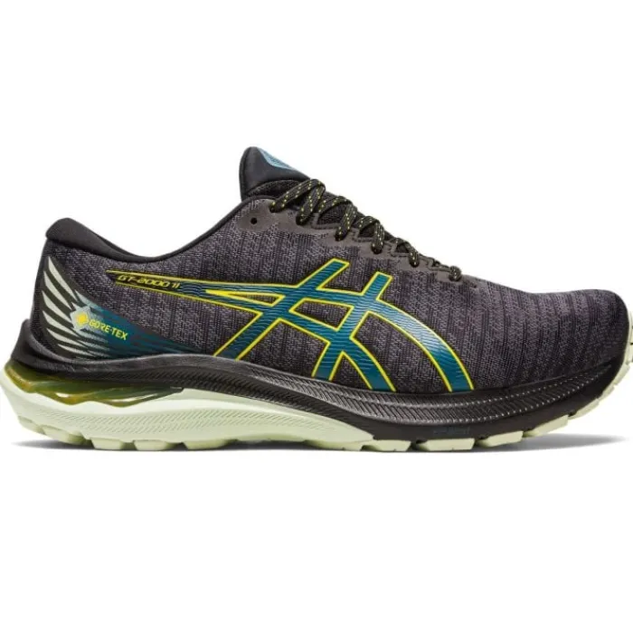 Asics Stability Running Shoes | Road Running Shoes^GT-2000 11 GTX Black
