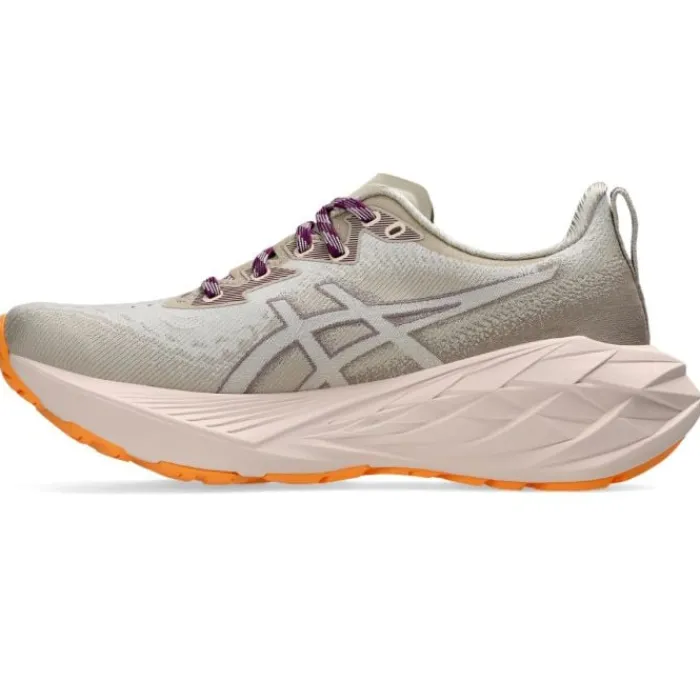 Asics Neutral Running Shoes | Road Running Shoes^Novablast 4 TR Grey