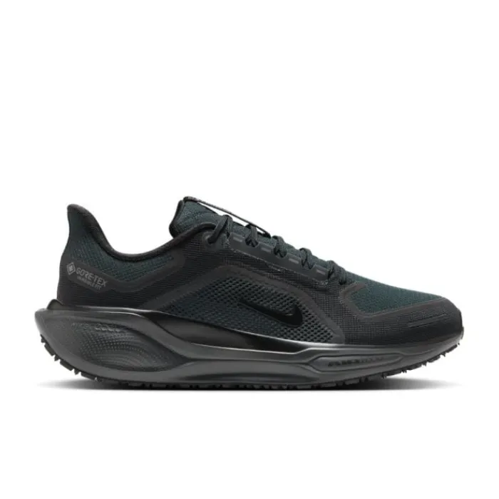 Nike Neutral Running Shoes^Pegasus 41 Gore-Tex Black