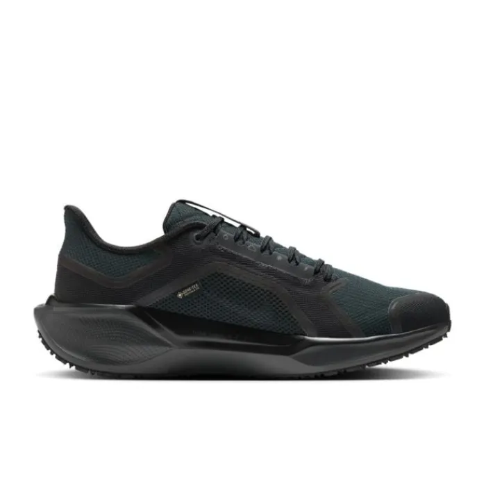 Nike Neutral Running Shoes^Pegasus 41 Gore-Tex Black