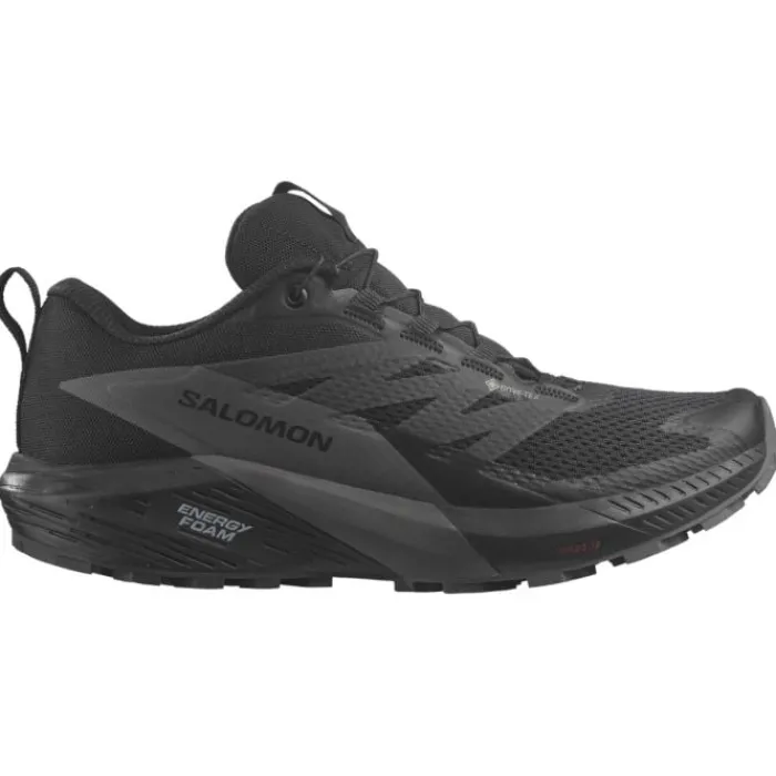 Salomon Hiking Shoes Sale | Neutral Running Shoes^Sense Ride 5 GTX Black