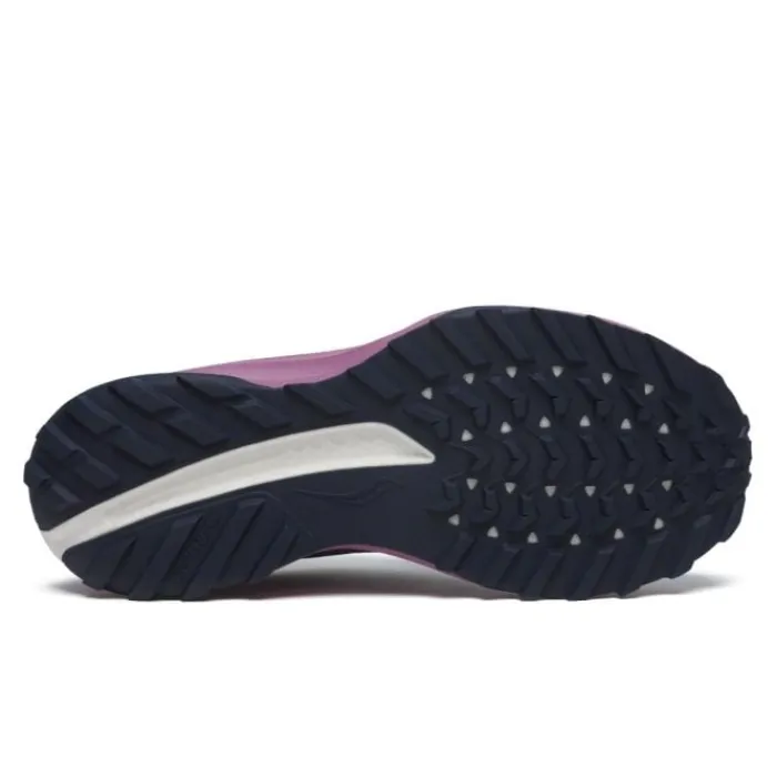 Saucony Neutral Running Shoes | Trailrunning Shoes^Ride TR2 GTX Blue