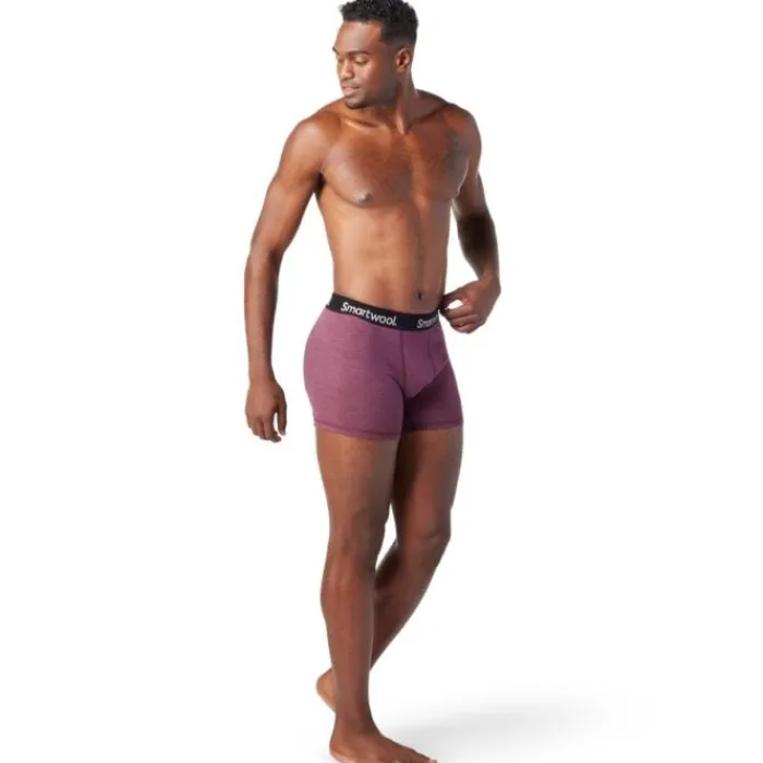 Smartwool Running Underwear^Merino Sport Boxer Breif Boxed Purple